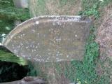 image of grave number 687101